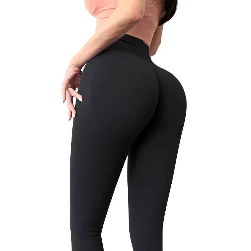 Yoga Pant