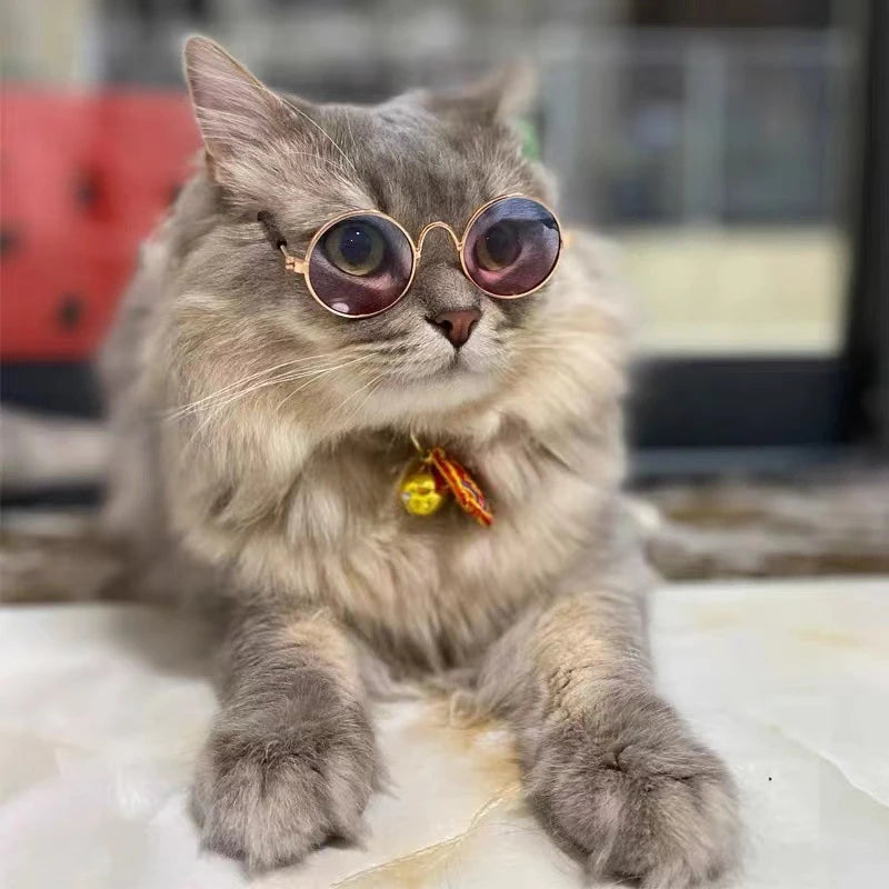Dog Sunglasses Cat Pet Product Lovely Vintage Round Reflection Eye Wear Glasses Small Dog Cat Pet Photo Props  Accessories